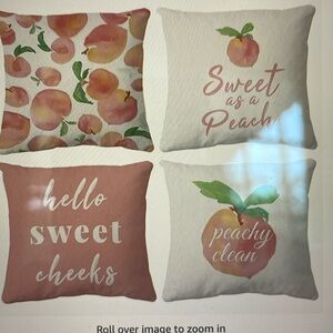 Brand New/ Set of 4 Peach Themed Pillow Cases- 18x18